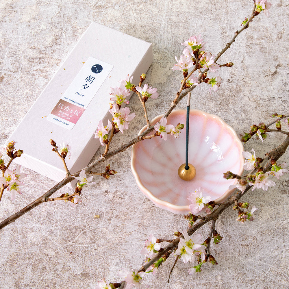 Asayu Japan Cherry Blossom Pink Mini Lotus Incense Holder with a burning incense stick on it surrounded by blooming sakura branches and next to a box of Asayu Japan Sakura and Sandalwood Low Smoke Incense Sticks.