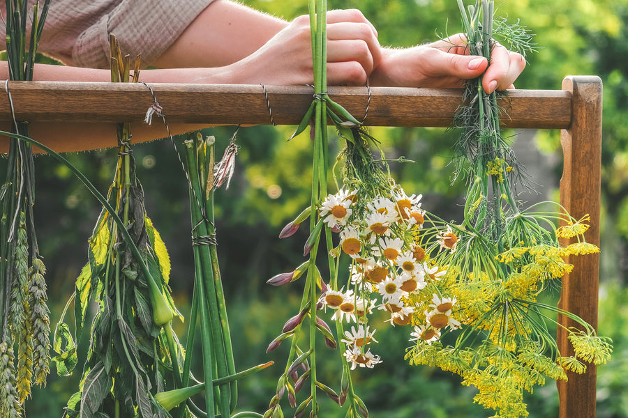 At-home Recipee For Your Favorite Season's Scent!