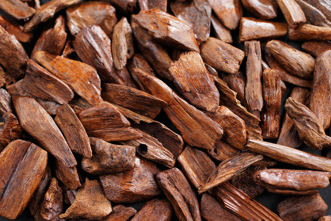 Sandalwood Incense & Japanese Culture: A Starter Guide