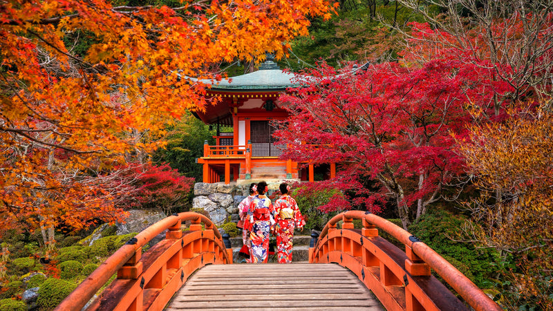 Young women wearing traditional Japanese Yukata at Daigo-ji temple 