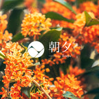 osmanthus incense sticks 20g