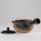 ceramic japanese tea pot