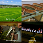  loose leaf tea process