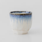 side view of the Blue and white cup