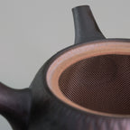 Tobikanna japanese teapot