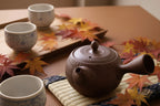 Tobikanna japanese teapot