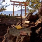 Tokinami Mini Incense Holders Set on a tree trunk