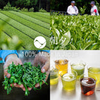 set of japanese green tea fields and tea bags