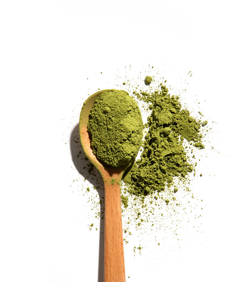 Matcha powder on wooden spoon
