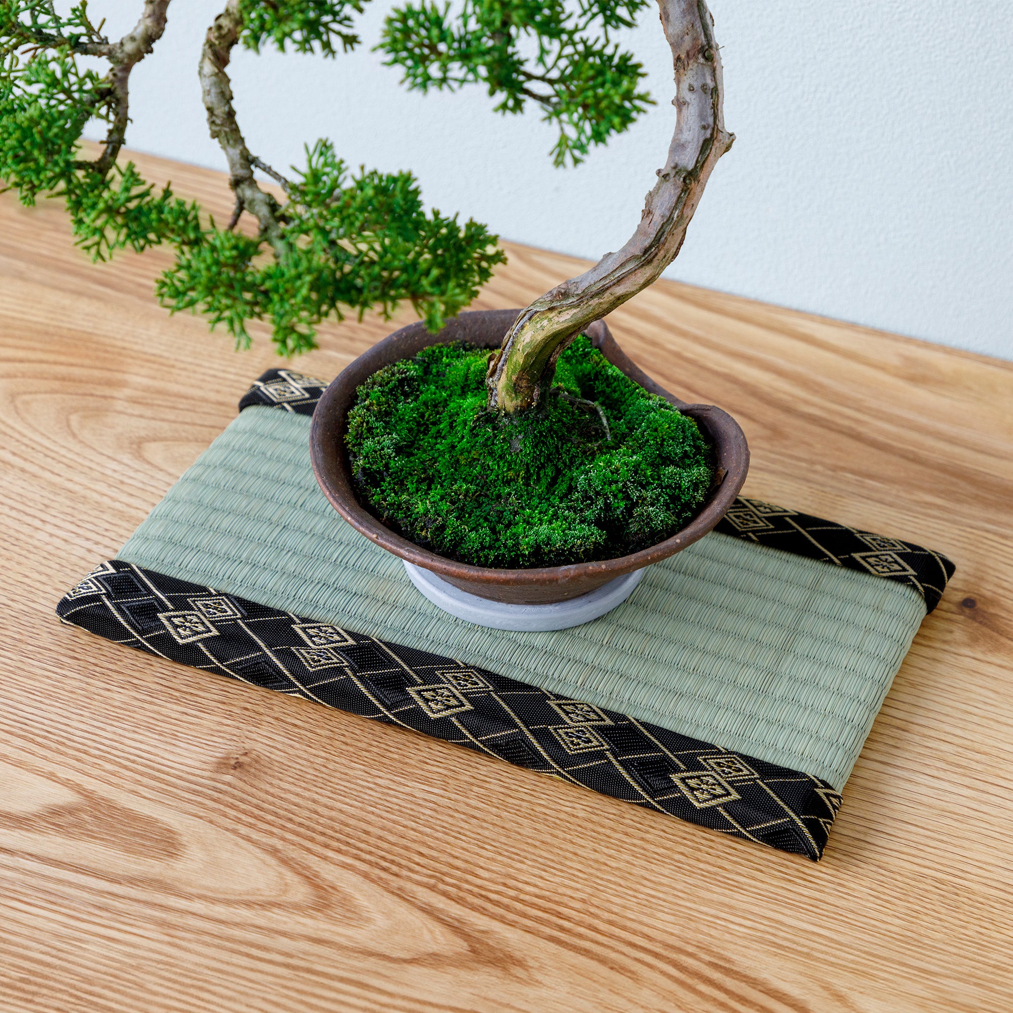bonsai placed on minim tatami mat