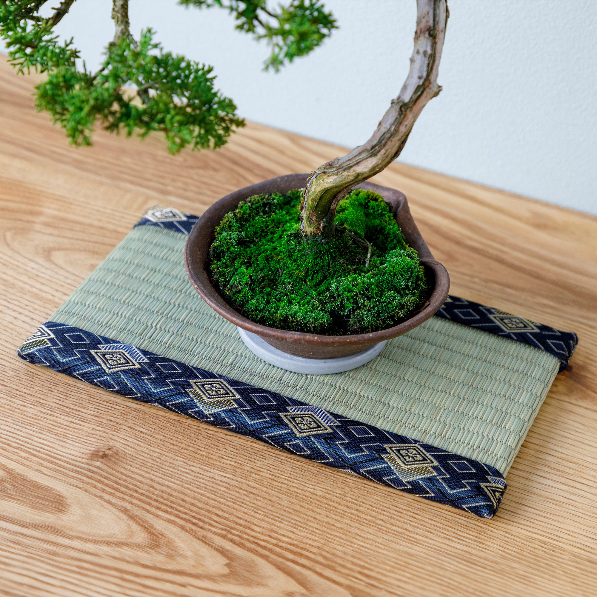 bonsai on blue mini tatami