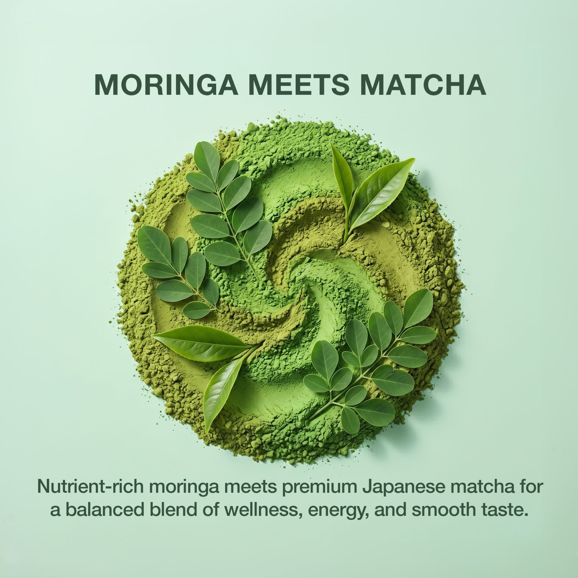 Moringa Matcha Powder