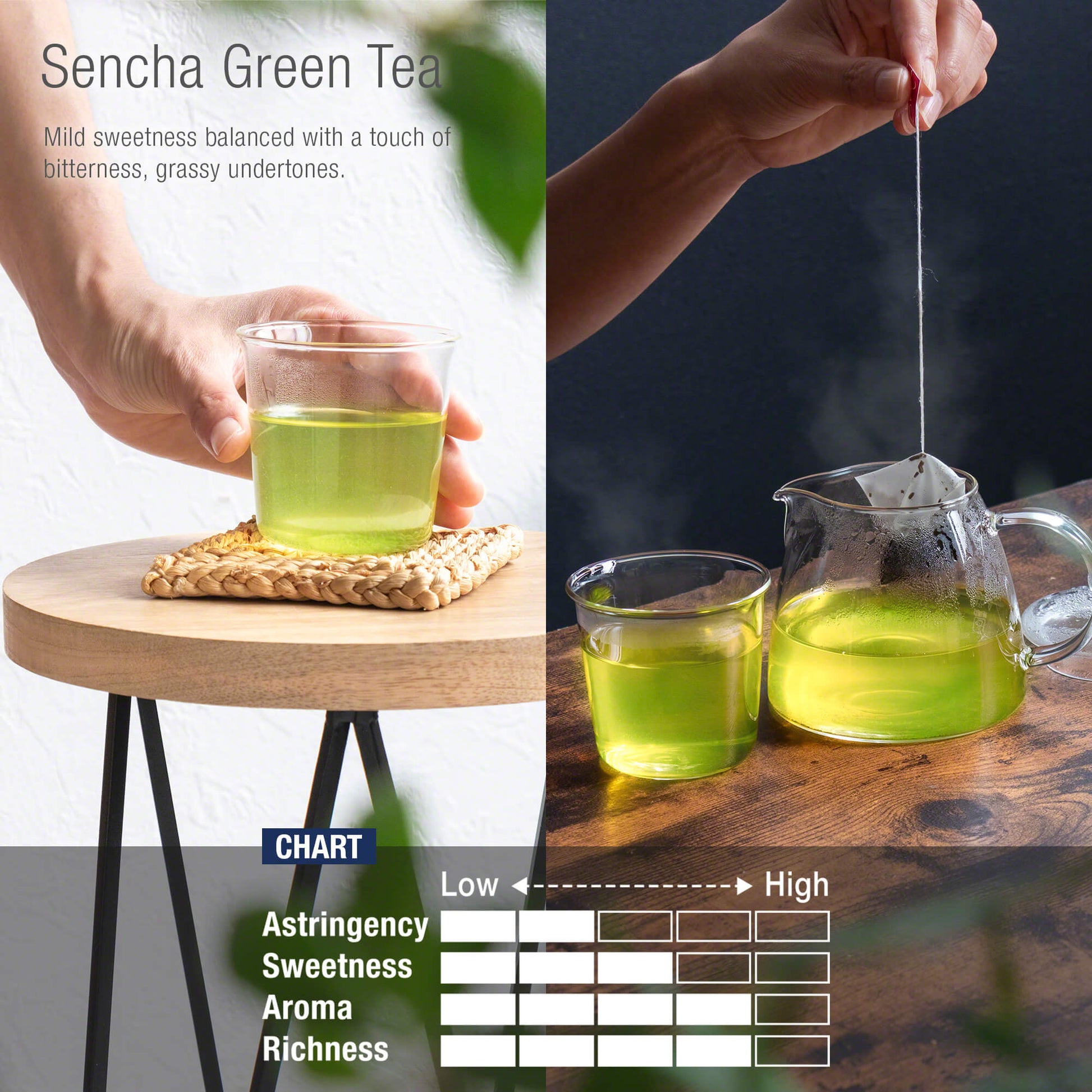 flavor chart of asayu sencha green tea