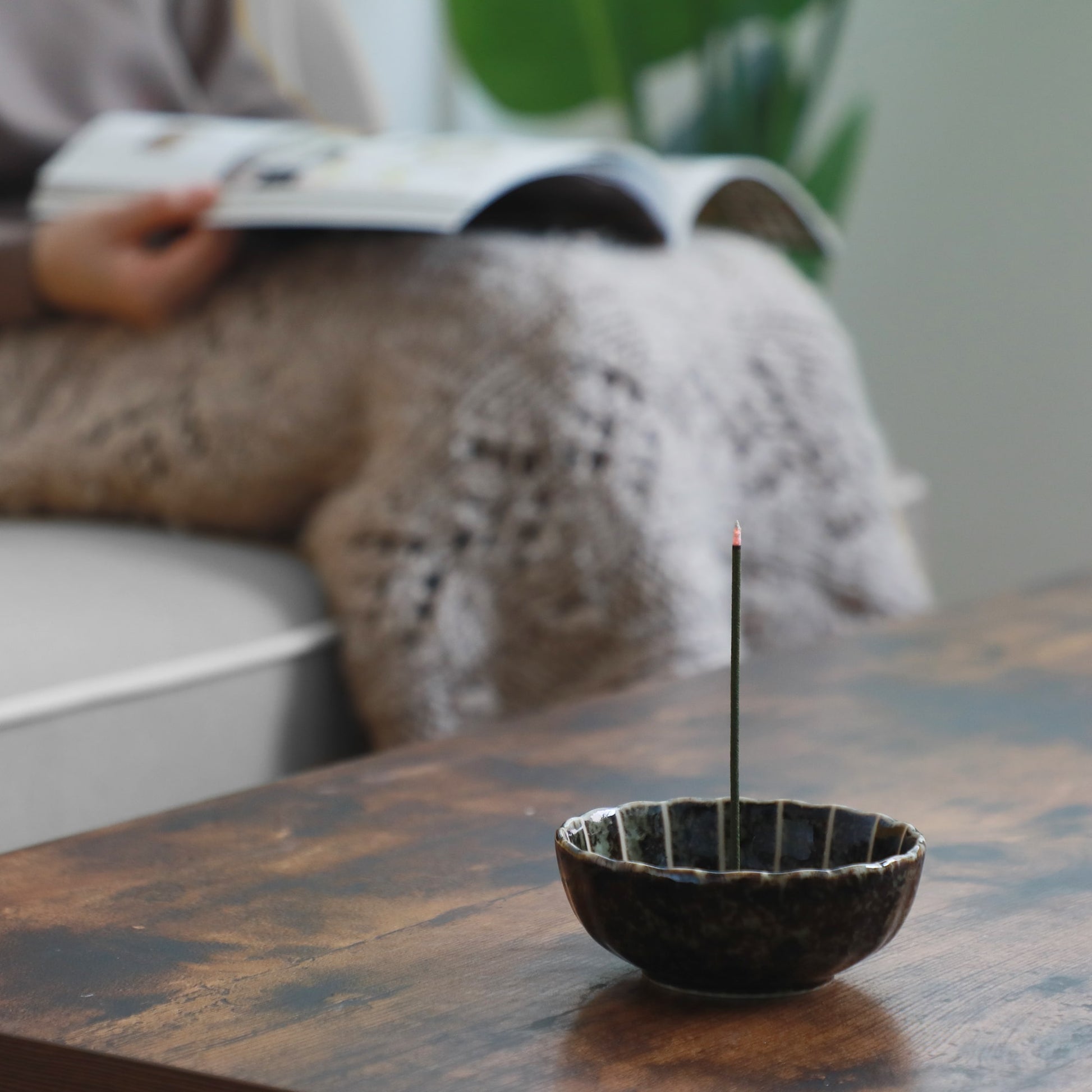 [ Free Shipping all over the US ]  100% Made in Japan Traditional Incense Gift Set  [ Forest Set (Hinoki Cypress & Cedar Wood)  + Green Lotus Incense Holder ]|| Japanese Incense Sticks || Incense holder and burner stand || Incense for Yoga and Meditation