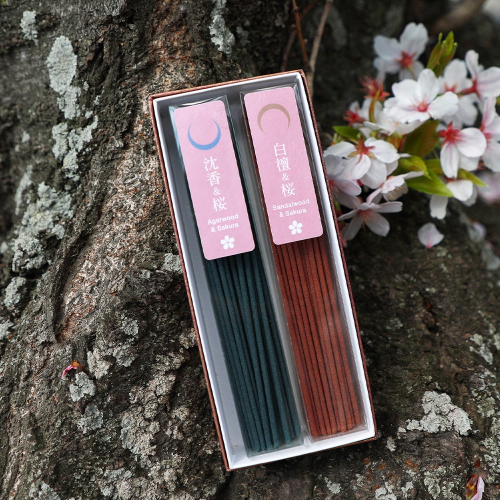 Premium Sakura Incense set on sakura tree trunk