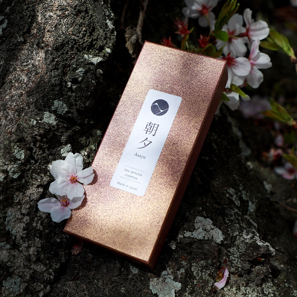 Premium Sakura Incense box display on a cherry blossom tree trunk
