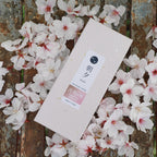 Premium Sakura Cherry Blossom and Agarwood Blend Low Smoke Incense Sticks by Asayu Japan surrounded by sakura petals