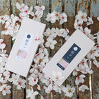 A box of Premium Sakura Cherry Blossom and Agarwood and a box of Premium Sakura Cherry Blossom and Sandalwood Incense Sticks by Asayu Japan surrounded by sakura petals