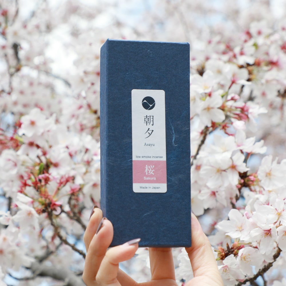 Hand Holding a box of Asayu Japan Sakura Cherry Blossom Low Smoke Incense Sticks in front of a sakura tree