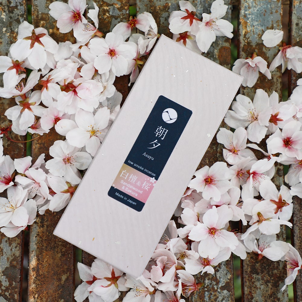 Premium Sakura Cherry Blossom and Sandalwood Blend Low Smoke Incense Sticks by Asayu Japan surrounded by sakura petals